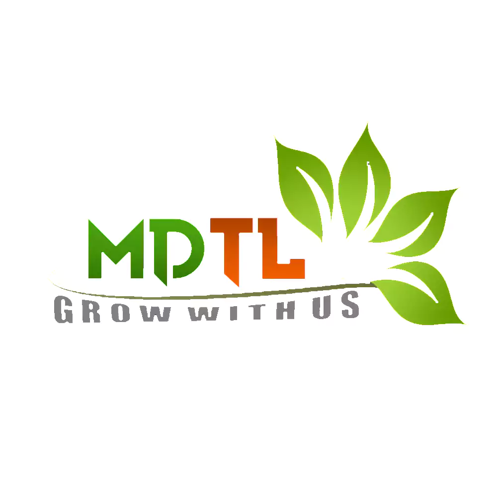 MDTL Logo Client of AV Web Solution